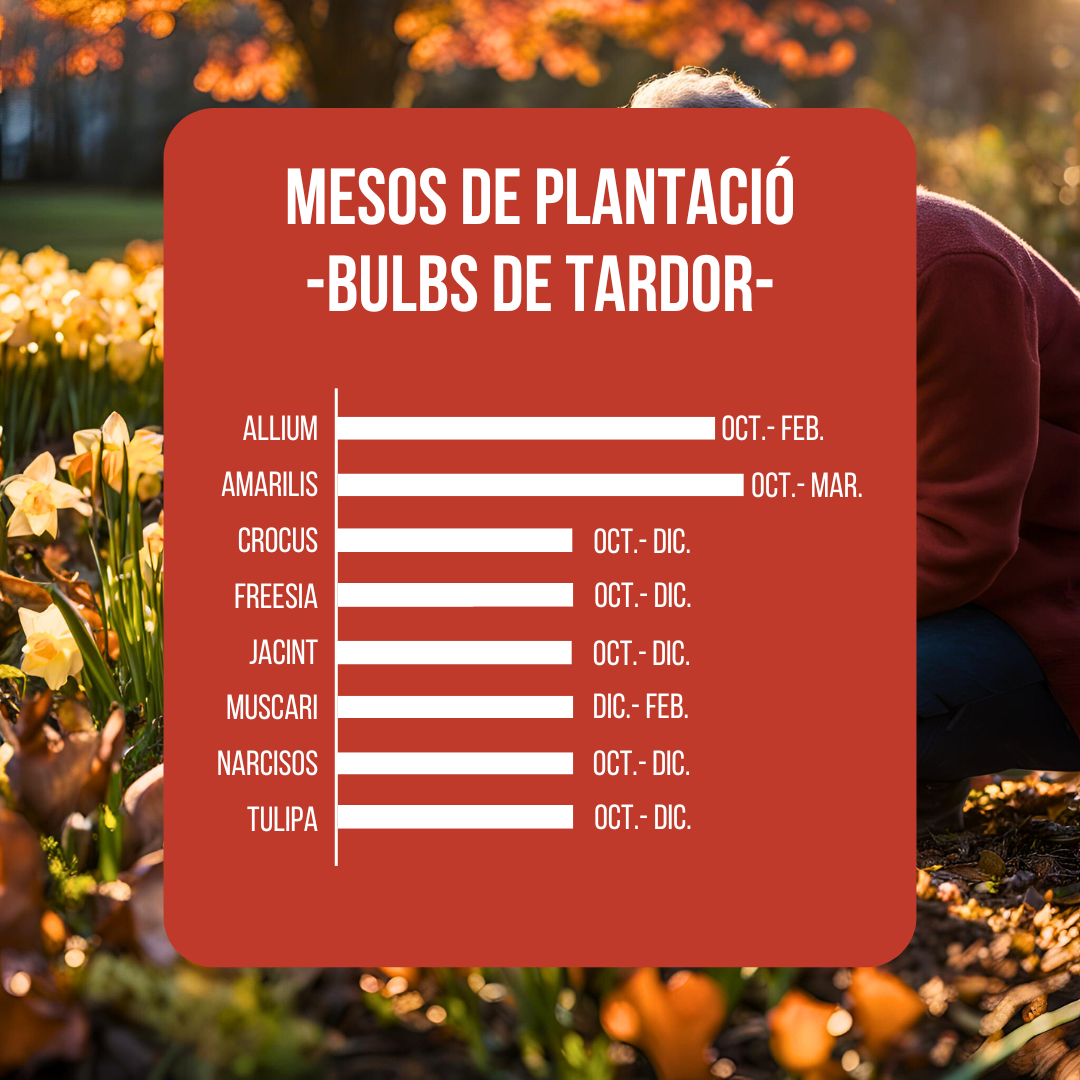 El secret de la primavera comença a la tardor